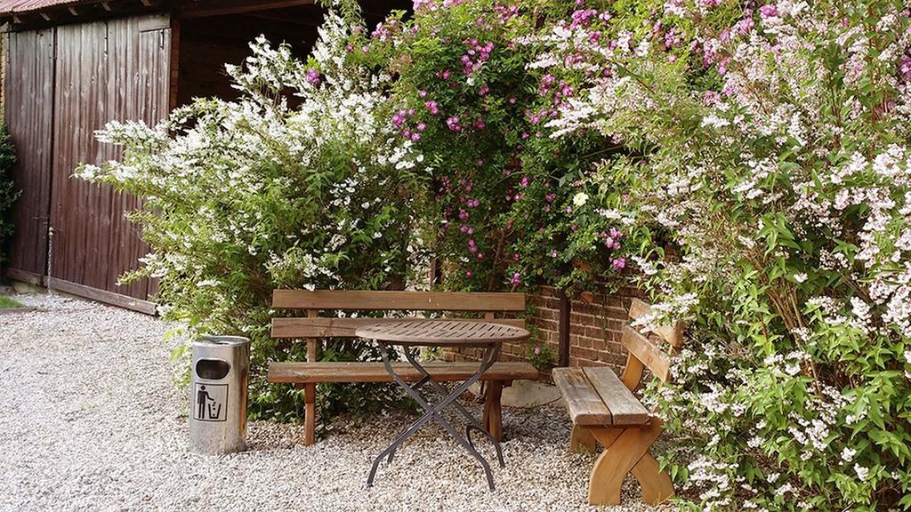 Hotel Nordic Spreewald Lübbenau Eksteriør bilde